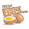 Fresh Eggs Now
